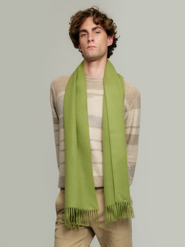 Adrian Baby Alpaca Scarf in Green